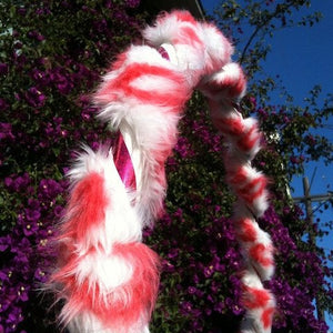 Furry Torus